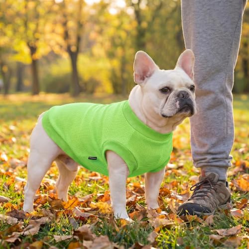 Image of 1 Pack Dog Shirt for Small Supplies Functional Waffle Dog Clothes Warm Soft Sweatshirt Outfit for Dogs Cats Pet Apparel