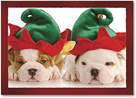 English Bulldog Puppies wearing Elf Hats CUTE ~ Box (Dozen - 12) Holiday Christmas Cards
