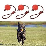 Enzege 3 Stück Hundespielzeug Ball, Naturkautschuk Wurfball Hund mit Seil, Schleuderball für Hunde