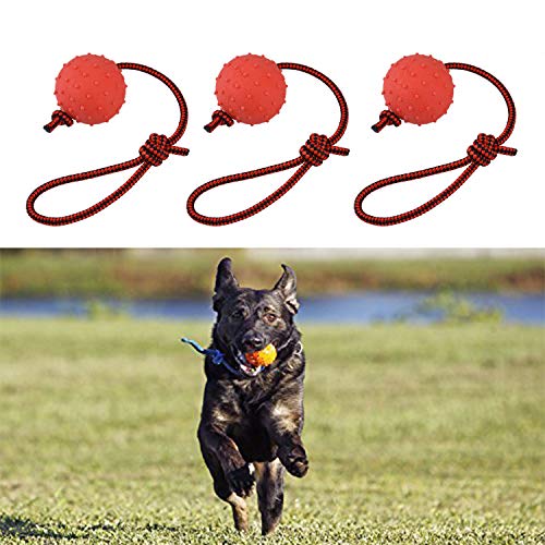 Enzege 3 Stück Hundespielzeug Ball, Naturkautschuk Wurfball Hund mit Seil, Schleuderball für Hunde