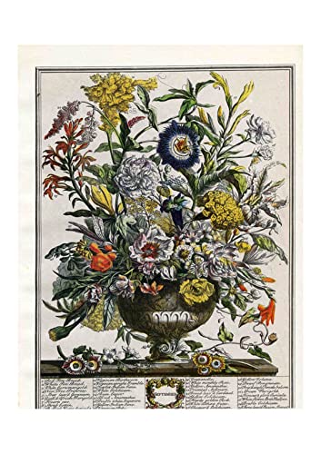 Affiche encadrée Spiffing Prints Roberty Furber Septembre Extra Large Mat
