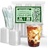 Stock Your Home 16 oz Premium Commercially Compostable Cold Cups (50 Pack), Eco Party Cup, Environmentally Friendly Disposable Sustainable for Water, Wine, Beer Sample