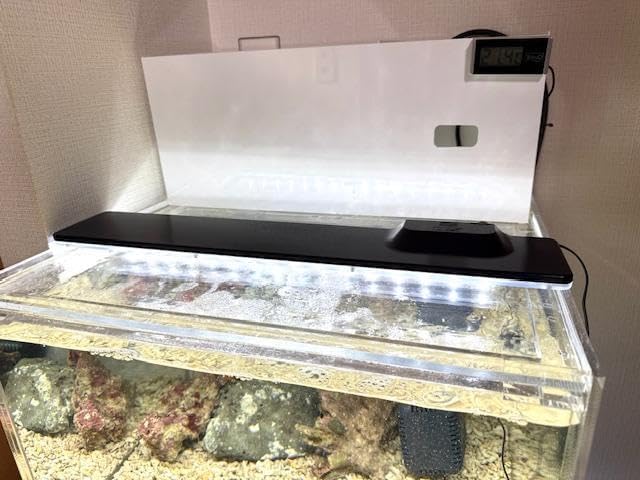 アクリル水槽用 上部濾過箱 600用 水中ポンプ用 Amazon | 水槽 アクリル水槽用 上部濾過箱 600用 水中ポンプ用 Amazon | 水槽