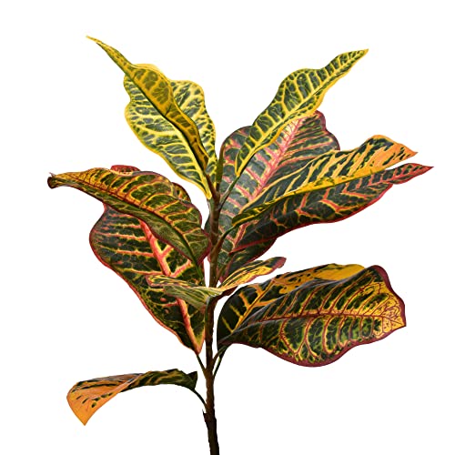 Vickerman Everyday 5' Artificial Green and Orange Croton Tree 5' Long - Premium Lifelike Faux Plant for Home or Office Decor - Maintenance Free Croton Tree by Vickerman - Image 4