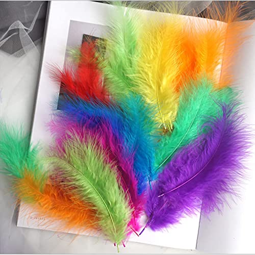 100Pcs Craft Colorful Feathers,Assorted Colors Soft Feathers For Jewelry And Dream Catcher Crafts #TOP2