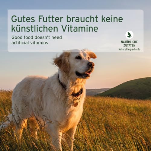 AniForte Hundefutter Nass WildBuffalo 6 x 800g – Nassfutter für Hunde, Frischer Büffel mit Gemüse & Früchten, hoher Fleischanteil, Natürliches Hundenassfutter glutenfrei