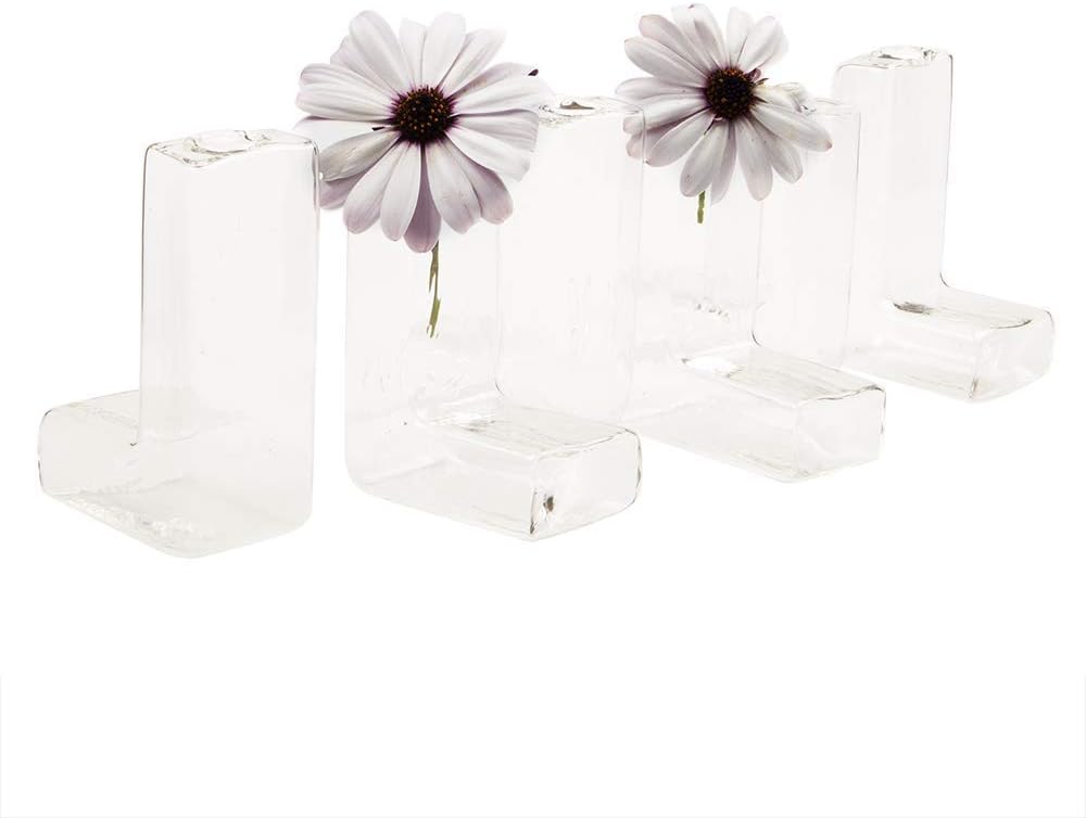Chive - Set of 6 L Tube, Small Clear Glass Bud Vase for Short Flowers, Unique Flower Vase Sets for Home Decor, Weddings, Floral Arranging, Event, Place Settings