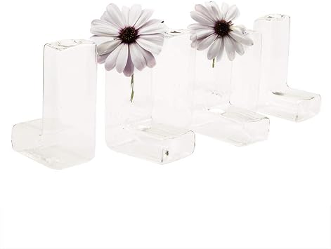 Chive - Set of 6 L Tube, Small Clear Glass Bud Vase for Short Flowers, Unique Flower Vase Sets for Home Decor, Weddings, Floral Arranging, Event, Place Settings