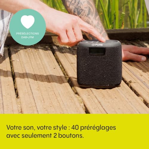 Pure Woodland Enceinte Portable Mini, Haut-Parleur Bluetooth avec Radio Dab+/FM (étanche IP67, Batterie 17h - Parfait pour Le Jardin et Le Camping) Noir