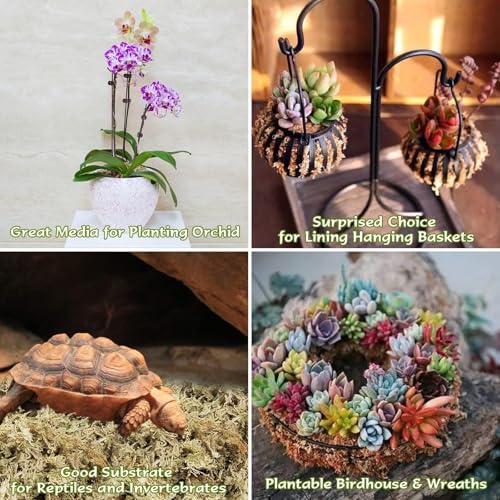 Halatool 4QT Premium Sphagnum Moss for Indoor Plants, Orchid Moss Potting Mix - Natural Sphagnum Moss for Succulents, Carnivorous(Sarracenia), Monstera, Terrarium Substrate & Reptile Habitats - Thumbnail 5