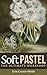 Soft Pastel - The Ultimate Workshop