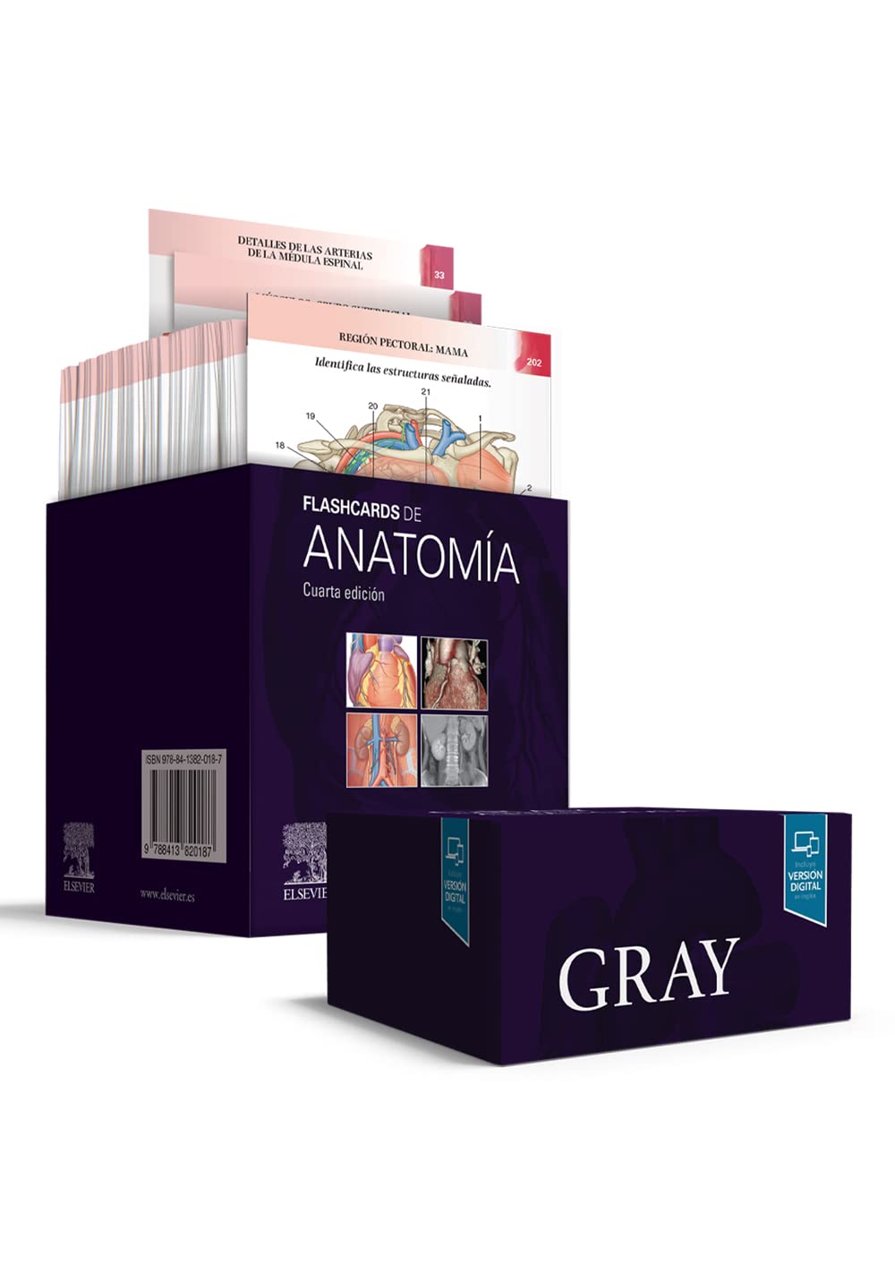 Gray. Flashcards de Anatomía, 4.ª Edición