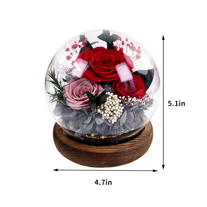 Rosa preservada púrpura con cúpula de vidrio y luz LED miniatura 3