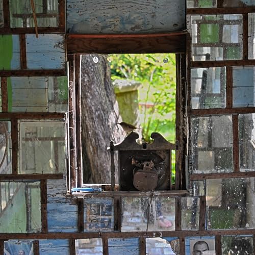 Built From Broken Glass: The Science and Stubbornness of Saving America&rsquo;s Folk Art Environments