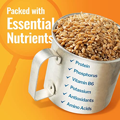 Organic Einkorn Berries (Farro Piccolo) (15 pounds)