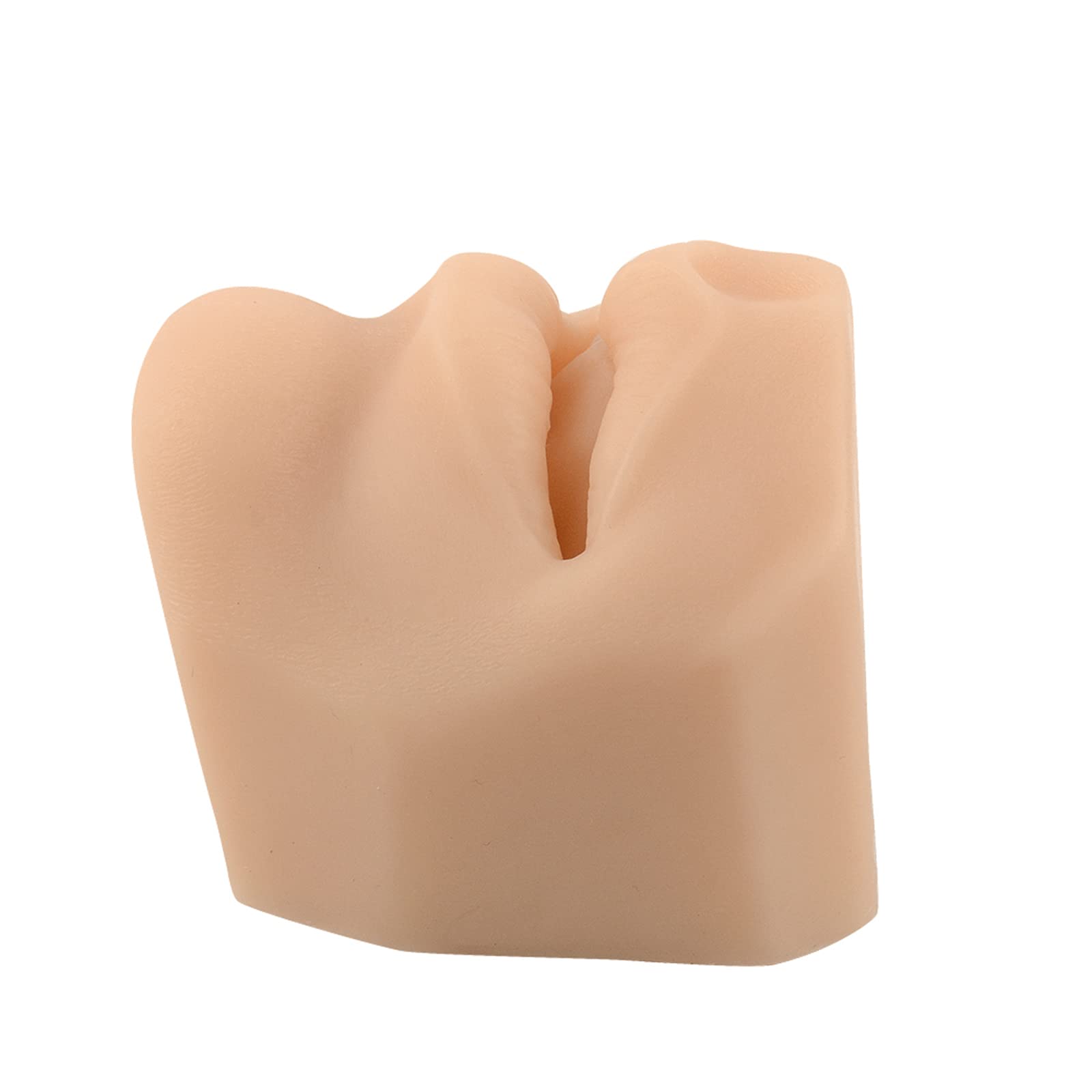 Miękki silikonowy model usta, silikonowy model do piercingu warg, ekspozycja części ciała do akupunktury, ludzki model, narzędzie do nauczania, nauczanie klasy naukowej, biuro anatomiczne