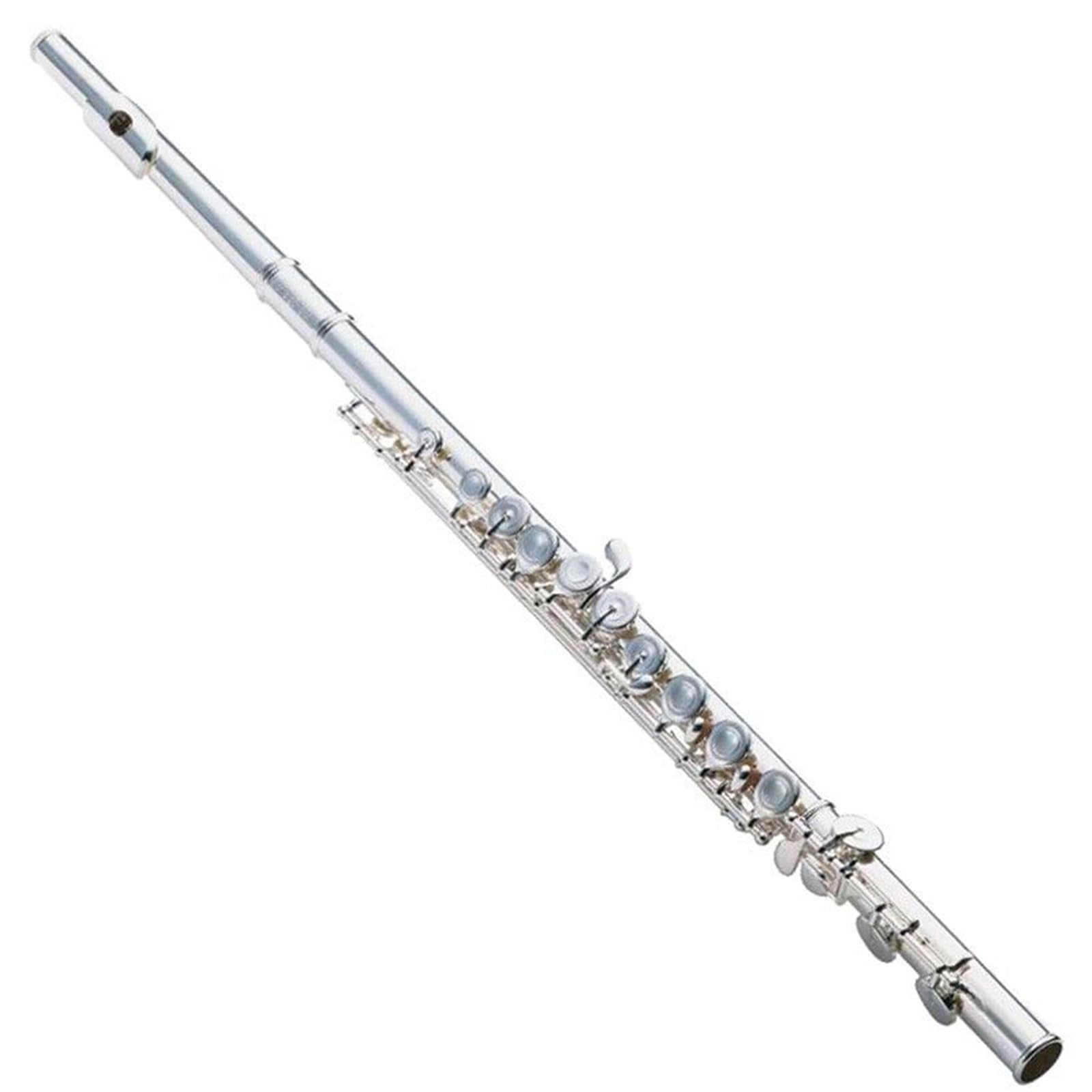 Flauto Flauto Traverso Professionale In Argento Placcato In Argento Francese A 16 Fori Con Foro Chiuso Standard In Do