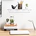 17 Inch Contemporary Clear Acrylic Floating Shelf/Wall Mounted Display Organizer