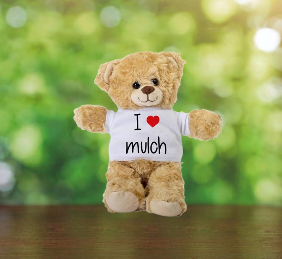 Cute Bear Stuff SpreadPassion Crypto Millionaire Teddy Bear, Gift Australia  Squishmallow Cloud Slime