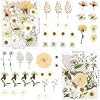 LUXEEASE 80 Pcs Dried Flowers for Crafts, Real Natural Dried Pressed Flowers in Soft Yellow, White & Pink Tones for Resin, DIY Art, Jewelry, Candle & Soap Making – Tweezers Included #1