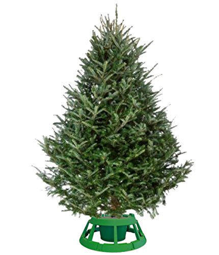 Cloracks One Screw Stand, Christmas Tree Stand For Live Trees Up To 11' Tree, Green Base (Large) #TOP1