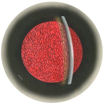 An Artist's Perspective on the Eye - Paintings by J. McGuinness Myers