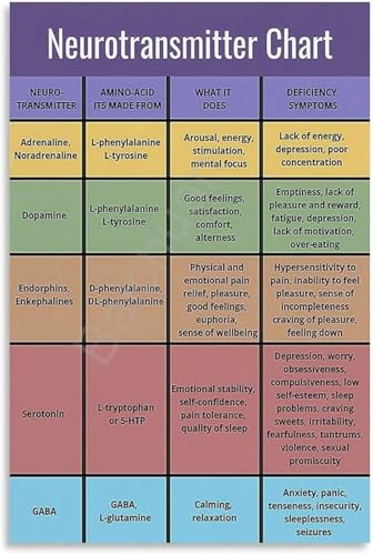 Mental Wellbeing Neurotransmitter Chart Educational Science Poster Canvas Art for Bedroom or Living Room Wall(Unframed,16x24inch