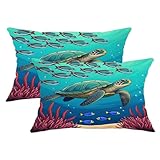 Juego de 2 fundas de almohada de tortuga, peces de colores marinos, coral, verano, azul, terciopelo suave, lavable, fundas de almohada decorativas para el hogar, dormitorio, sala de estar, sofá