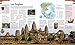 History: The Definitive Visual Guide (DK Definitive Visual Encyclopedias)