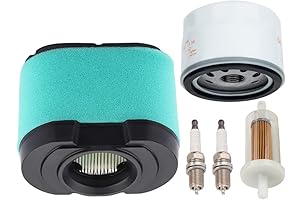 Briggs and Stratton Tune Up Kit for Extended Life Series