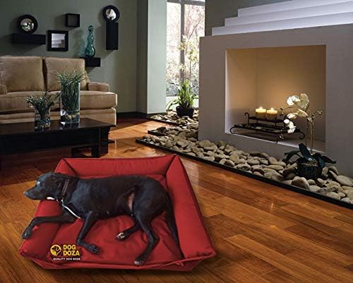 dog doza beds
