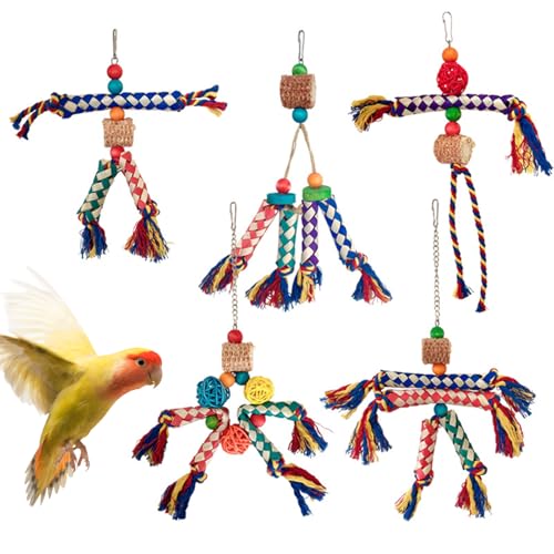 Accessoires de cage colorés pour stimuler l'activité des perroquets