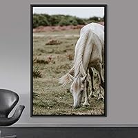 Framed Canvas Wall Art Horse Animals Dramatic Farmhouse/Country Horse Living Room Multicolor Photography - 16x24 inches