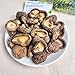 Nam Dong Co Premium Dried Shiitake Mushrooms, Natural Vietnamese Dried Dongu Mushrooms, 100% Pure-200gram