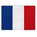 France Flag Embroidered Patch French Iron-On National Emblem