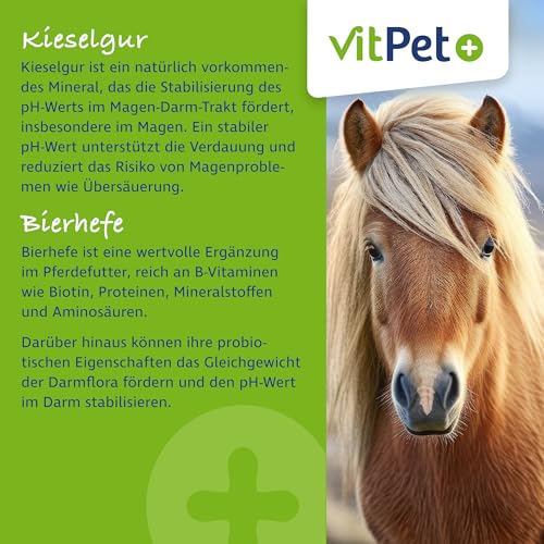 VitPet+ Huf Wohl – Spezial Mineralfutter Pferde – Mit Biotin, Zink, Kieselgur und Bierhefe – 4 kg – Zur Unterstützung des Hufwachstums – Inkl. Dosierlöffel