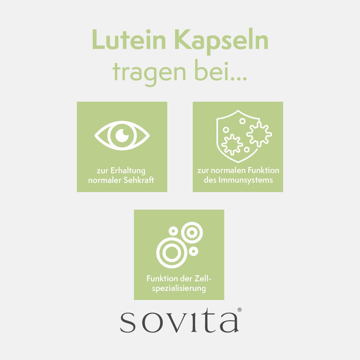 sovita Lutein Kapseln für Augengesundheit mit Beta-Carotin & Pflanzenextrakten | Tagetes & Heidelbeer-Extrakt für Sehkraft & Zellfunktion | Nahrungsergänzung | 270 Kapseln