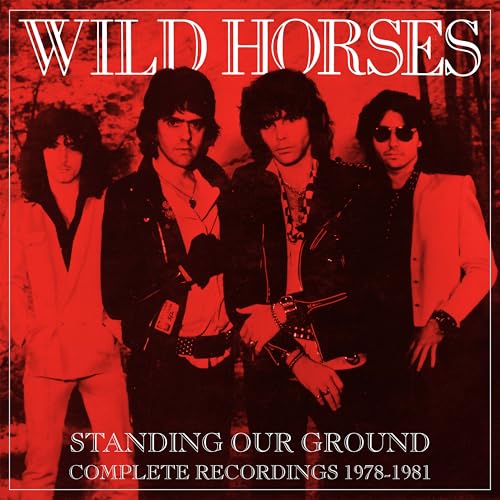 Standing Our Ground-the Complete Recordings 1978/1981