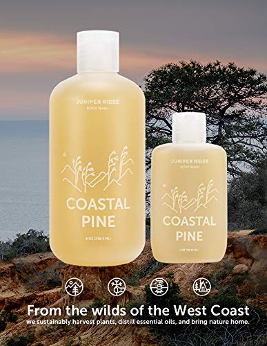 Juniper Ridge Coastal Pine Body Wash - Concentrated Organic Vegan Castile Soap - All Natural Ingredient Essential Oil Bath & Shower Gel - Paraben, Phthalate, Dye, Cruelty, & Perservative Free - 8Oz #TOP2