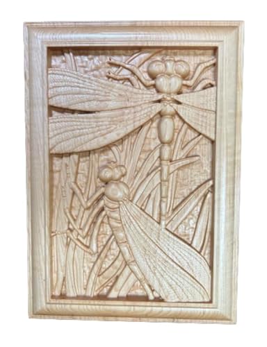 Dragonfly Dreamscapes