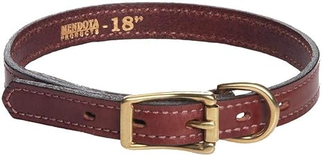 amazon rolled leather dog collar