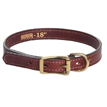 Mendota Pet Standard Dog Collar, 1-Inch by 24-Inch, Chestnut