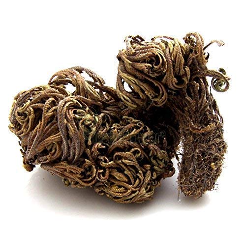 pexalOrganicgreen herb Laxman Booti 400gms - Sanjeevani - Pitta Kaku - laxman Buti - Selaginella Bryopteris