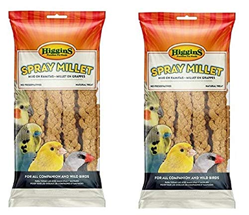 Higgins 2 Pack, 12 Count Millet Spray for Birds {Total 24 Count