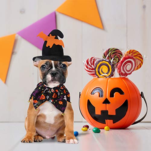 Disfraz Halloween para perro con collar y gorro ajustable miniatura 6