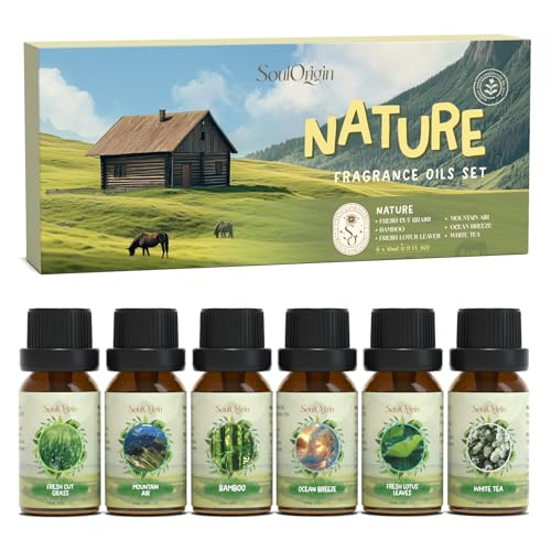 SoulOrigin Natürliche ätherische Öle Set, Duftöl Set für Öl Diffuser, Duftöle für Seifenkerze Herstellung 6x10ml frisches geschnittenes Gras, Bergluft, Bambus, Meeresbrise