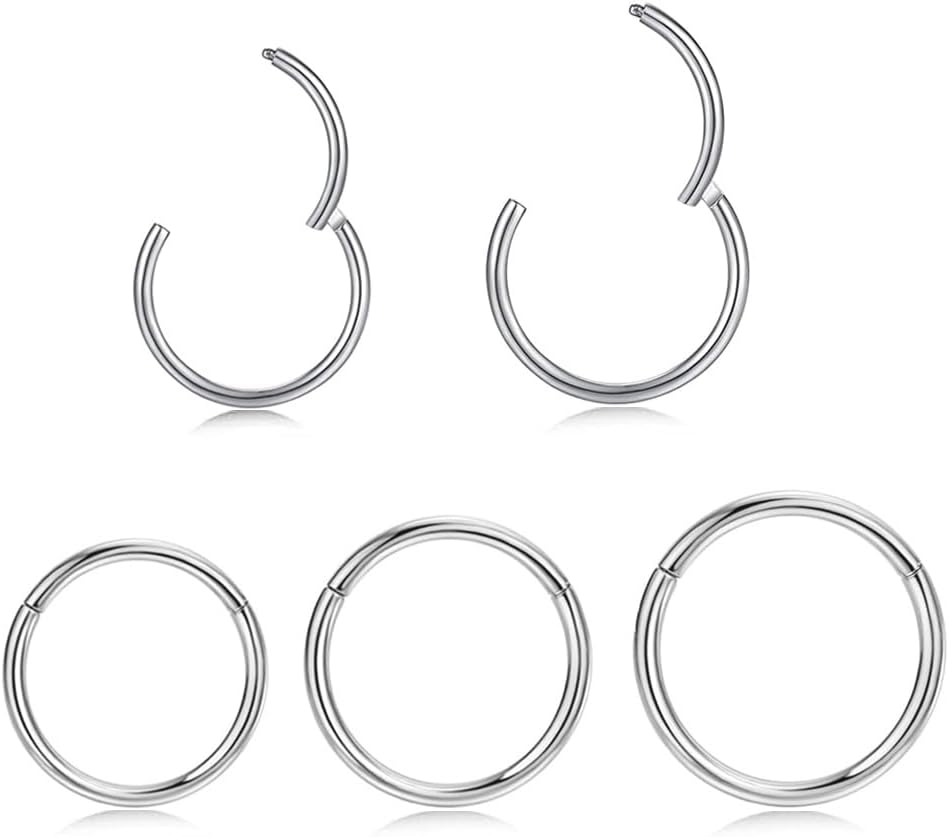 5pcs Hypoallergenic Nose Rings Hoops for Women Men 16G/18G/20G 316L Surgical Steel Hinged Clicker Segment for Nostril Septum Helix Cartilage Daith Tragus Conch Rook Lip Ear Lobe Earrings