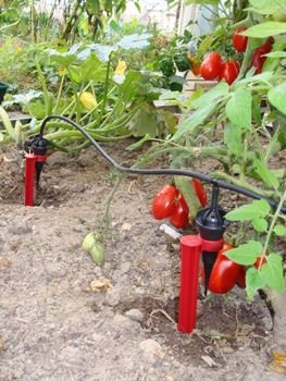IRISO Kit réserve 100 goutteurs avec Supports
