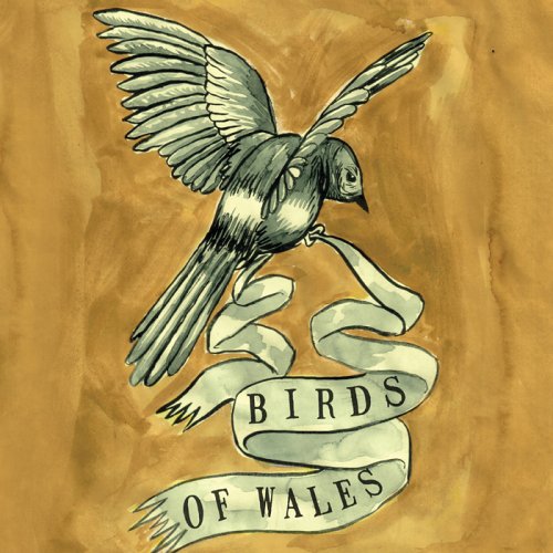Birds of Wales [Audio CD] Birds of Wales