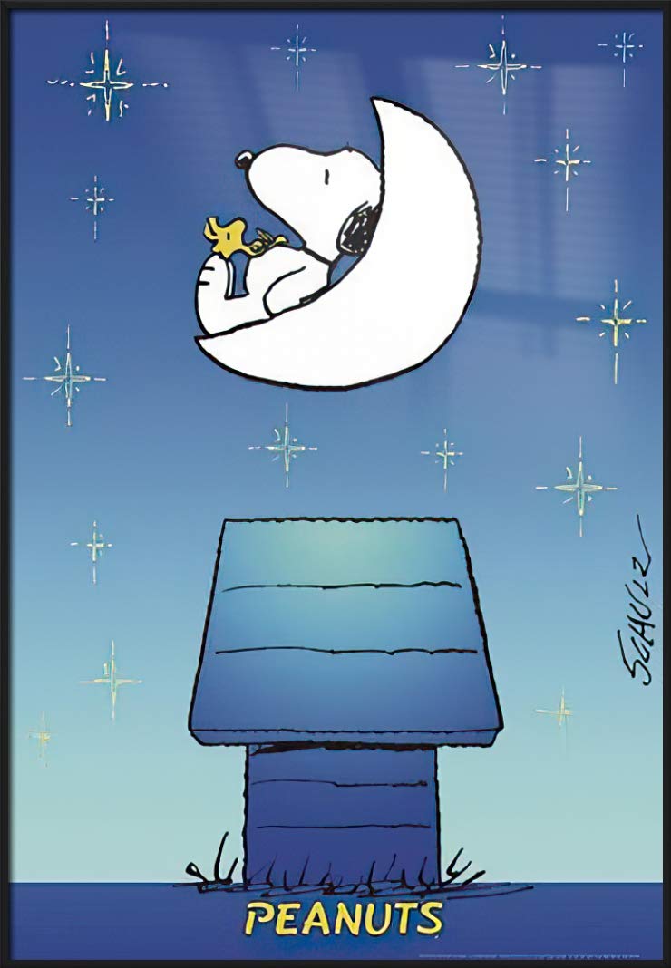 Amazon.co.jp: Peanuts – Framed TV Showポスター/印刷
